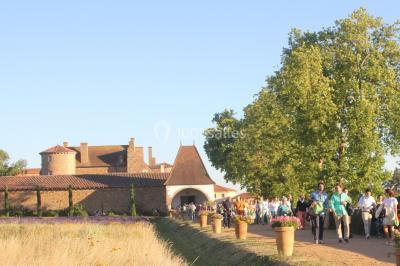 Location salle Saint-Marcel-de-Félines (Loire) - Château de Saint Marcel de Felines #6