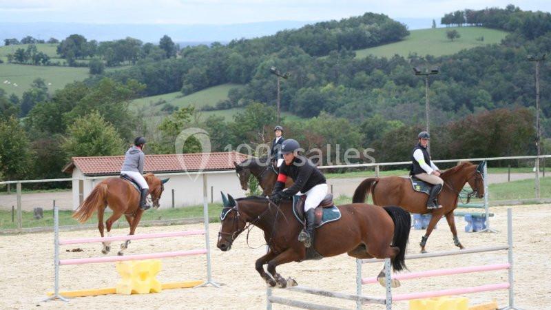 Location salle Saint-Marcel-de-Félines (Loire) - Château de Saint Marcel de Felines #21