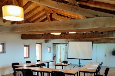 Location salle Saint-Marcel-de-Félines (Loire) - Château de Saint Marcel de Felines #22