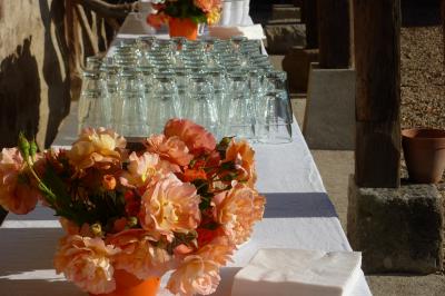 Location salle Saint-Marcel-de-Félines (Loire) - Château de Saint Marcel de Felines #22