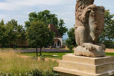 Location salle Saint-Marcel-de-Félines (Loire) - Château de Saint Marcel de Felines #22