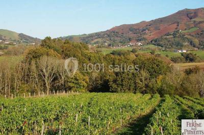 Miniature Location salle Saint-Pée-sur-Nivelle (Pyrénées-Atlantiques) - La Ferme Aux Piments #16 Location salle Saint-Pée-sur-Nivelle (Pyrénées-Atlantiques) - La Ferme Aux Piments #20