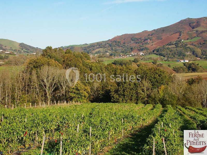 Location salle Saint-Pée-sur-Nivelle (Pyrénées-Atlantiques) - La Ferme Aux Piments #16