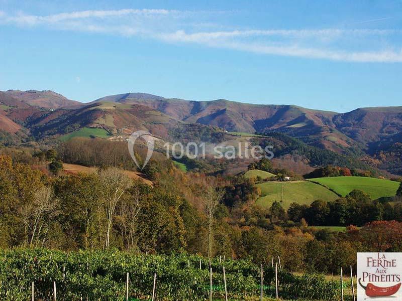 Location salle Saint-Pée-sur-Nivelle (Pyrénées-Atlantiques) - La Ferme Aux Piments #18