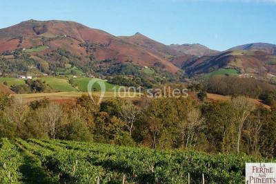 Miniature Location salle Saint-Pée-sur-Nivelle (Pyrénées-Atlantiques) - La Ferme Aux Piments #17 Location salle Saint-Pée-sur-Nivelle (Pyrénées-Atlantiques) - La Ferme Aux Piments #20