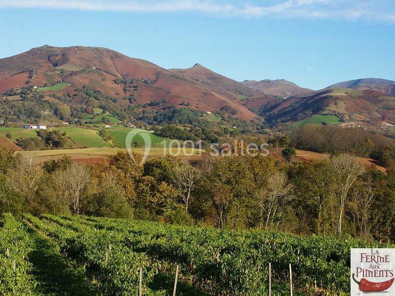 Location salle Saint-Pée-sur-Nivelle (Pyrénées-Atlantiques) - La Ferme Aux Piments #17