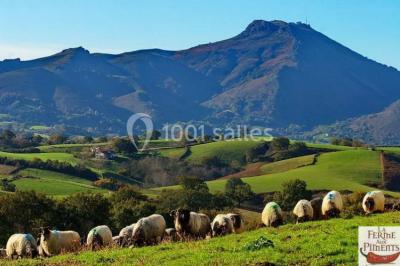 Miniature Location salle Saint-Pée-sur-Nivelle (Pyrénées-Atlantiques) - La Ferme Aux Piments #20 Location salle Saint-Pée-sur-Nivelle (Pyrénées-Atlantiques) - La Ferme Aux Piments #20