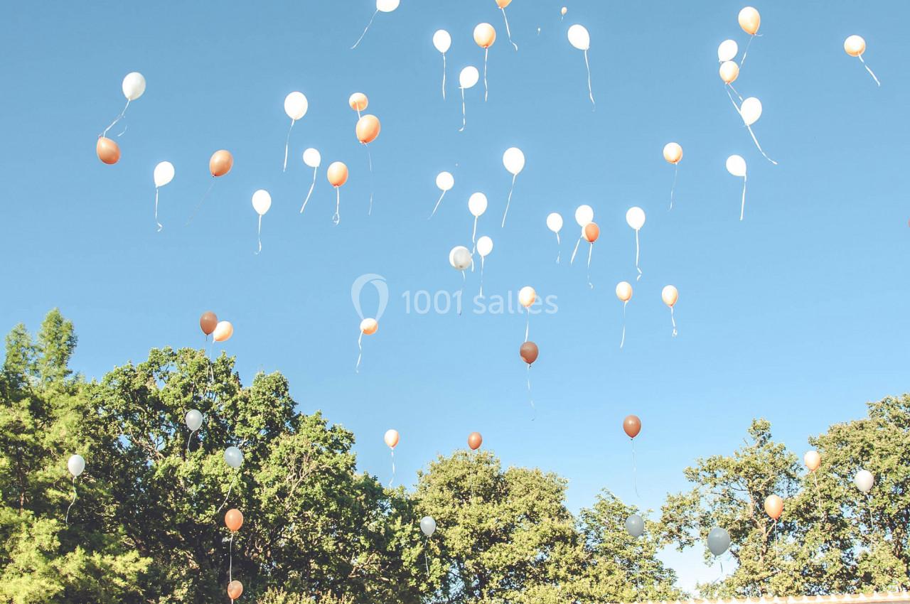 Un groupe de personnes regarde des ballons colorés s'envoler dans le ciel devant un bâtiment avec un toit en ardoise.