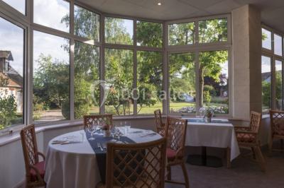 Forêt illuminée par le soleil couchant, avec des arbres espacés et un sentier couvert de feuilles au sol.