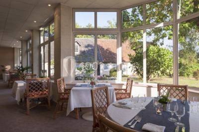 Forêt illuminée par le soleil couchant, avec des arbres espacés et un sentier couvert de feuilles au sol.