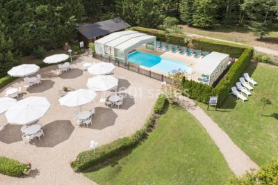 Forêt illuminée par le soleil couchant, avec des arbres espacés et un sentier couvert de feuilles au sol.