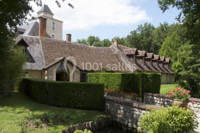Forêt illuminée par le soleil couchant, avec des arbres espacés et un sentier couvert de feuilles au sol.