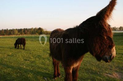 Location salle Missillac (Loire-Atlantique) - La Ferme Du Forsdoff #24