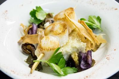Piscine extérieure entourée de chaises longues et parasols, avec des bâtiments en arrière-plan sous un ciel dégagé.