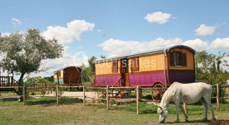 Location salle Saintes-Maries-de-la-Mer (Bouches-du-Rhône) - Mas De Calabrun #5
