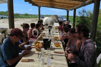 Location salle Saintes-Maries-de-la-Mer (Bouches-du-Rhône) - Mas De Calabrun #24