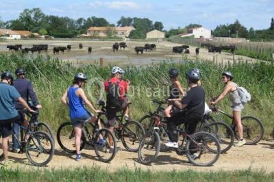 Location salle Saintes-Maries-de-la-Mer (Bouches-du-Rhône) - Mas De Calabrun #24