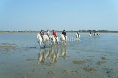 Location salle Saintes-Maries-de-la-Mer (Bouches-du-Rhône) - Mas De Calabrun #24