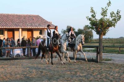 Location salle Saintes-Maries-de-la-Mer (Bouches-du-Rhône) - Mas De Calabrun #24