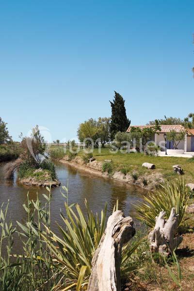 Location salle Saintes-Maries-de-la-Mer (Bouches-du-Rhône) - Mas De Calabrun #12