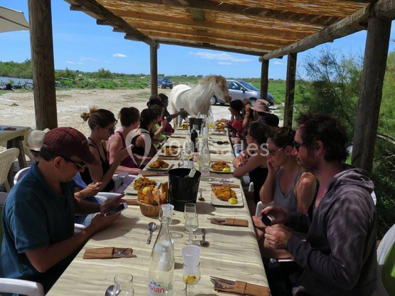 Location salle Saintes-Maries-de-la-Mer (Bouches-du-Rhône) - Mas De Calabrun #14
