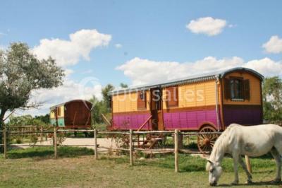 Location salle Saintes-Maries-de-la-Mer (Bouches-du-Rhône) - Mas De Calabrun #22