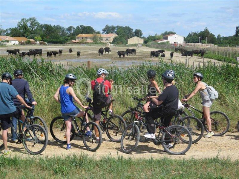 Location salle Saintes-Maries-de-la-Mer (Bouches-du-Rhône) - Mas De Calabrun #17