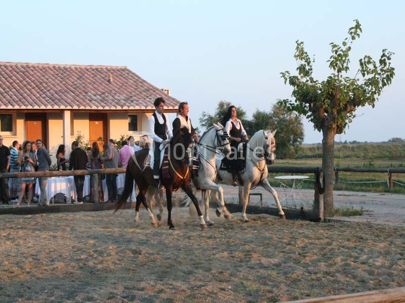 Location salle Saintes-Maries-de-la-Mer (Bouches-du-Rhône) - Mas De Calabrun #8