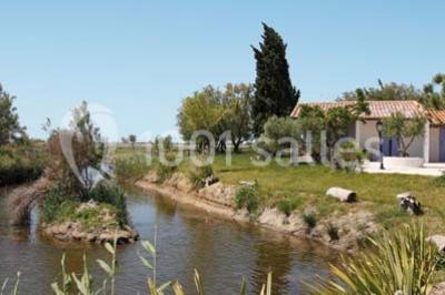 Location salle Saintes-Maries-de-la-Mer (Bouches-du-Rhône) - Mas De Calabrun #22
