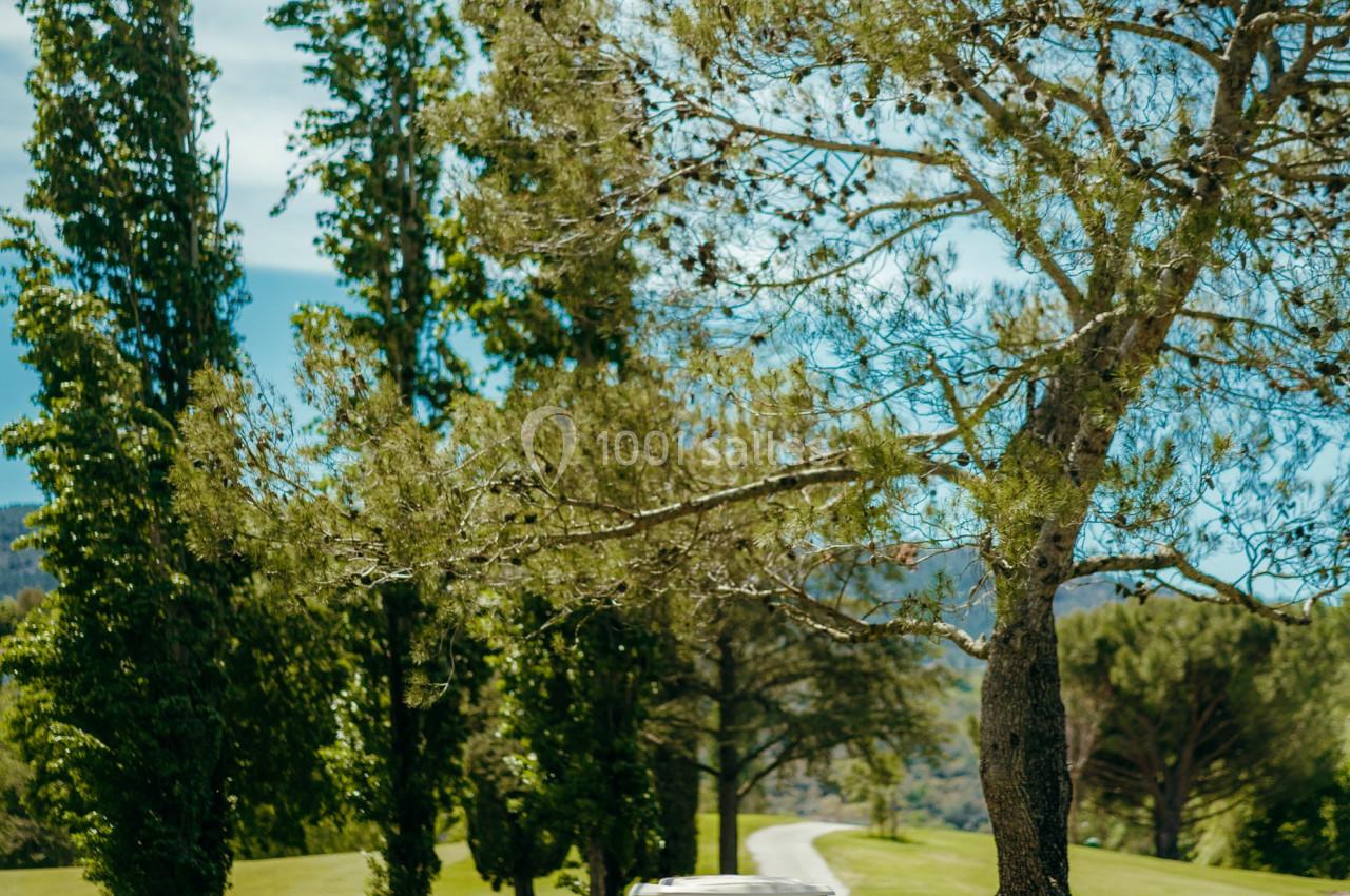 Un golf cart roulant sur un chemin bordé d'arbres dans un paysage verdoyant par une journée ensoleillée.
