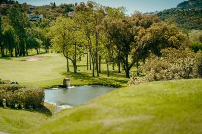 Salle lumineuse avec de grandes baies vitrées, mobilier en cuir et bois, et une horloge murale décorative.