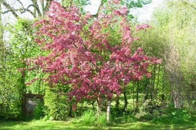 Location salle Villers-en-Arthies (Val-d'Oise) - Le Domaine De La Fée Verte #20