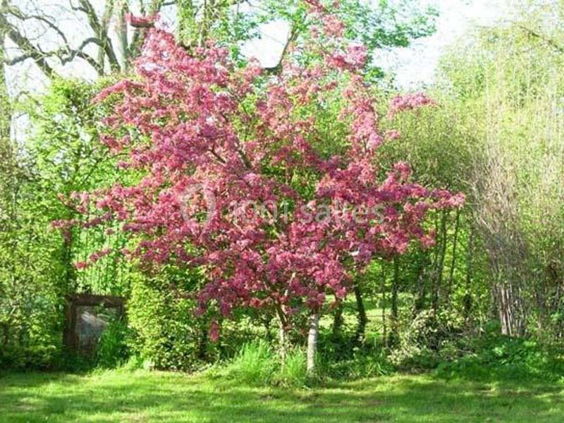 Location salle Villers-en-Arthies (Val-d'Oise) - Le Domaine De La Fée Verte #10