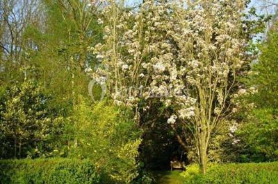 Location salle Villers-en-Arthies (Val-d'Oise) - Le Domaine De La Fée Verte #20