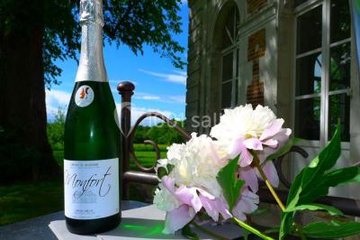 Location salle Montigny-la-Resle (Yonne) - Château de Monfort #19