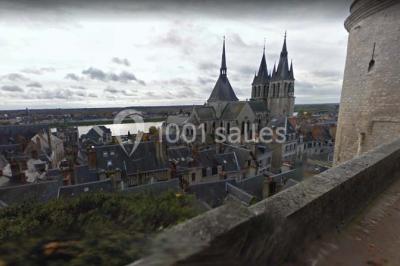 Miniature Location salle Blois (Loir-et-Cher) - Château Royal de Blois #14 Location salle Blois (Loir-et-Cher) - Château Royal de Blois #14