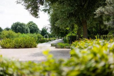 Location salle Nanterre (Hauts-de-Seine) - Le Pavillon des Berges #30