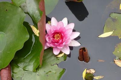 Location salle Nanterre (Hauts-de-Seine) - Le Pavillon des Berges #30