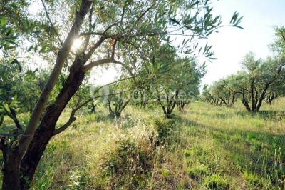 Location salle Béziers (Hérault) - Hameau Montplaisir #26