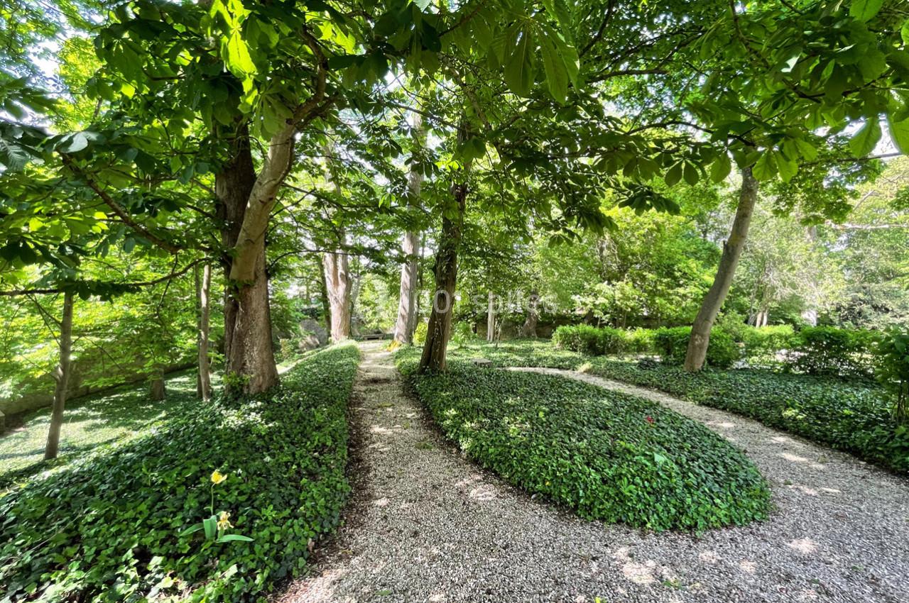 Allée gravillonnée serpentant entre des arbres et des buissons dans un jardin verdoyant.