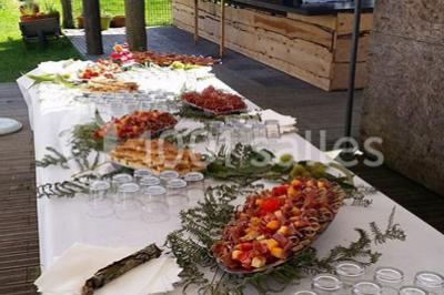 Aménagement de jardin avec un parterre circulaire entouré de pierres, contenant des plantes, sur fond de verdure et collines.