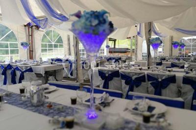 Aménagement de jardin avec un parterre circulaire entouré de pierres, contenant des plantes, sur fond de verdure et collines.