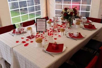 Aménagement de jardin avec un parterre circulaire entouré de pierres, contenant des plantes, sur fond de verdure et collines.