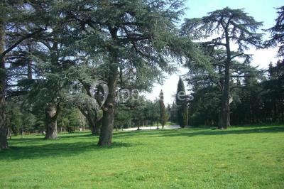 Terrasse en pierre spacieuse devant un bâtiment ancien en pierre sous un ciel bleu dégagé.