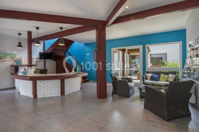 Salle de restaurant lumineuse avec tables dressées, bouteilles de vin, verres et décoration végétale.