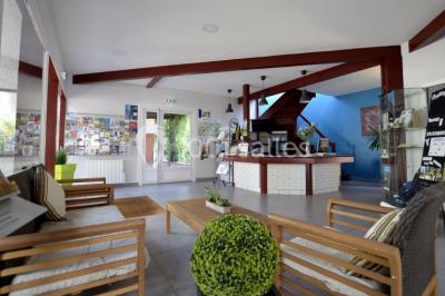 Salle de restaurant lumineuse avec tables dressées, bouteilles de vin, verres et décoration végétale.