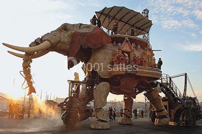 Salle de restaurant lumineuse avec tables dressées, bouteilles de vin, verres et décoration végétale.