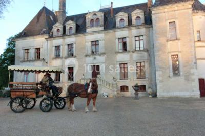 Location salle Lunay (Loir-et-Cher) - Château de la Mezière #18