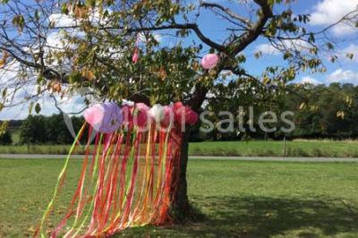 Espace Réception Espace Réception