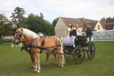 Location salle Barbey (Seine-et-Marne) - Aux Caprices De Barbey #16